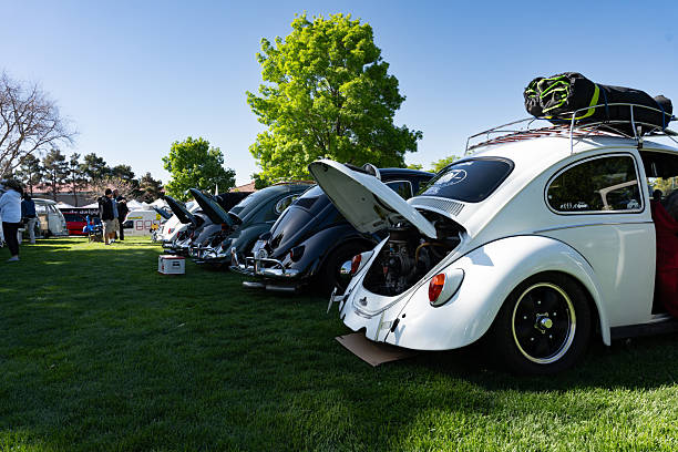 VW Beetle Modificados